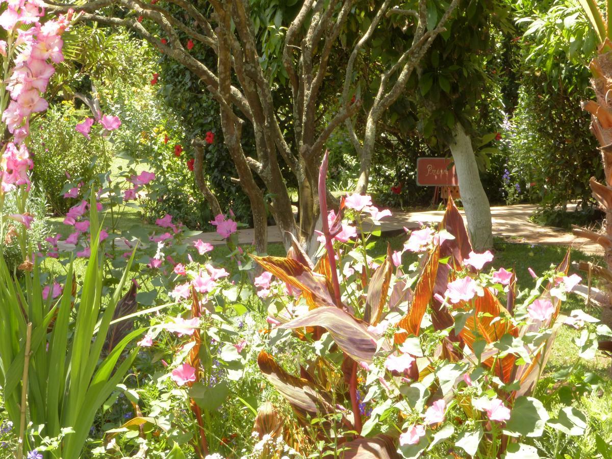 La Villa Mandarine Rabat Buitenkant foto
